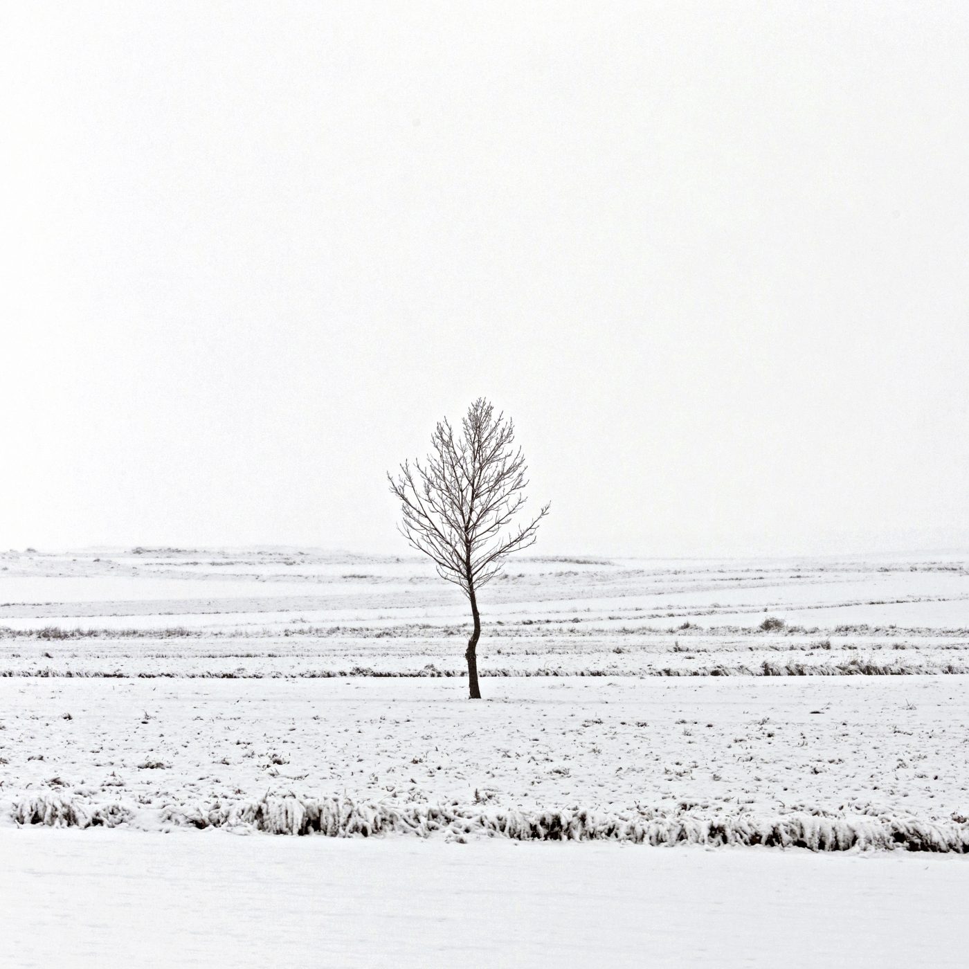 fotografa graus huesca